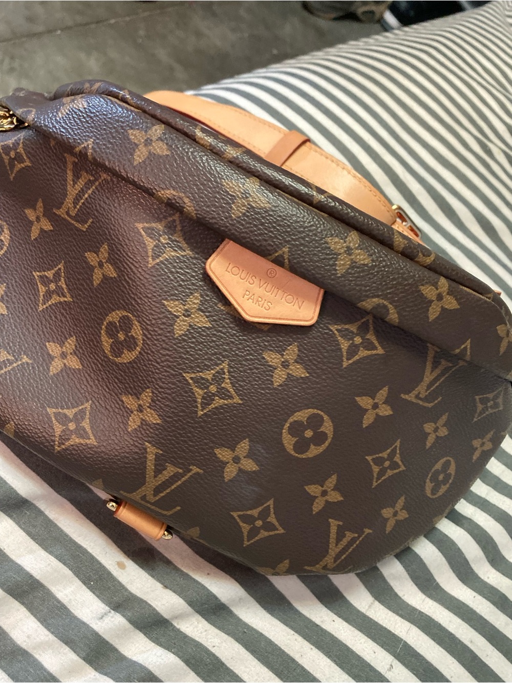 Louis Vuitton Brown Monogram Bumbag
